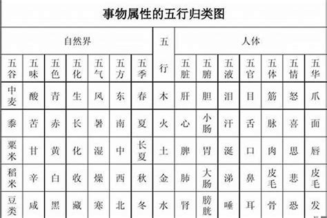 文 五行|文的五行属什么,文字的五行属性,文的寓意